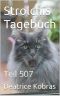 [Strolchis Tagebuch 507] • Strolchis Tagebuch · Teil 507